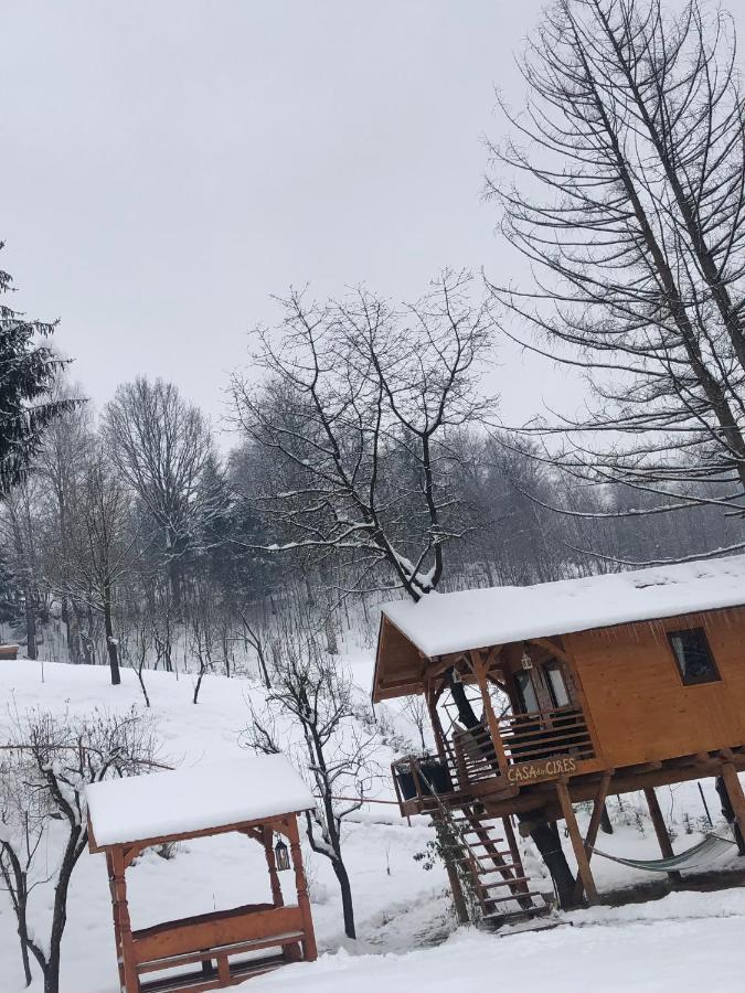Domeniul Horj Casa Din Cires Moisei Villa Eksteriør billede