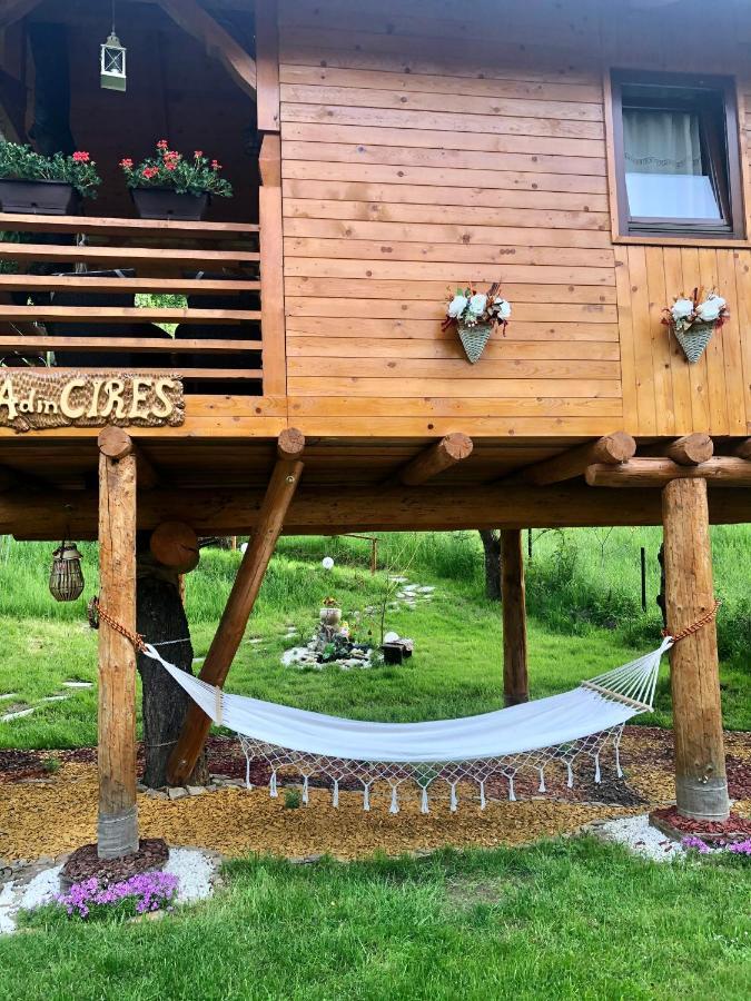 Domeniul Horj Casa Din Cires Moisei Villa Eksteriør billede