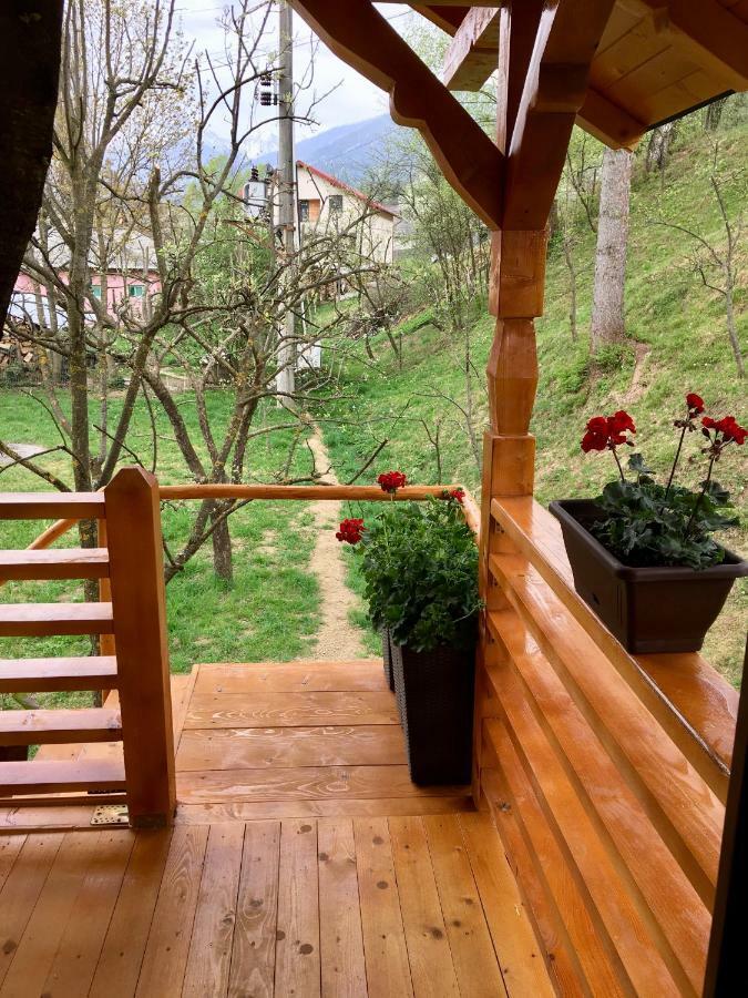 Domeniul Horj Casa Din Cires Moisei Villa Eksteriør billede