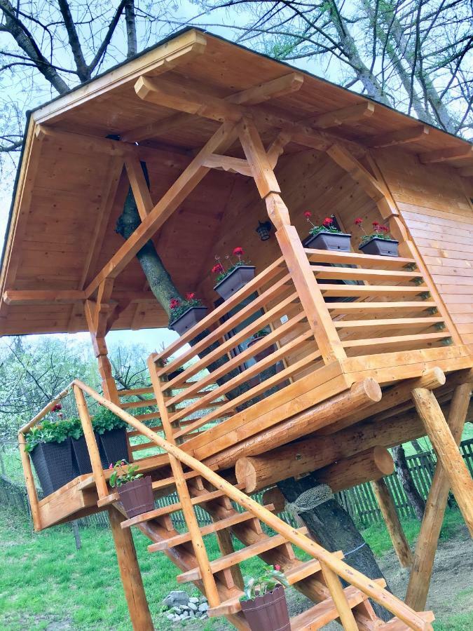 Domeniul Horj Casa Din Cires Moisei Villa Eksteriør billede