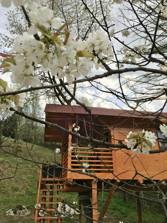 Domeniul Horj Casa Din Cires Moisei Villa Eksteriør billede